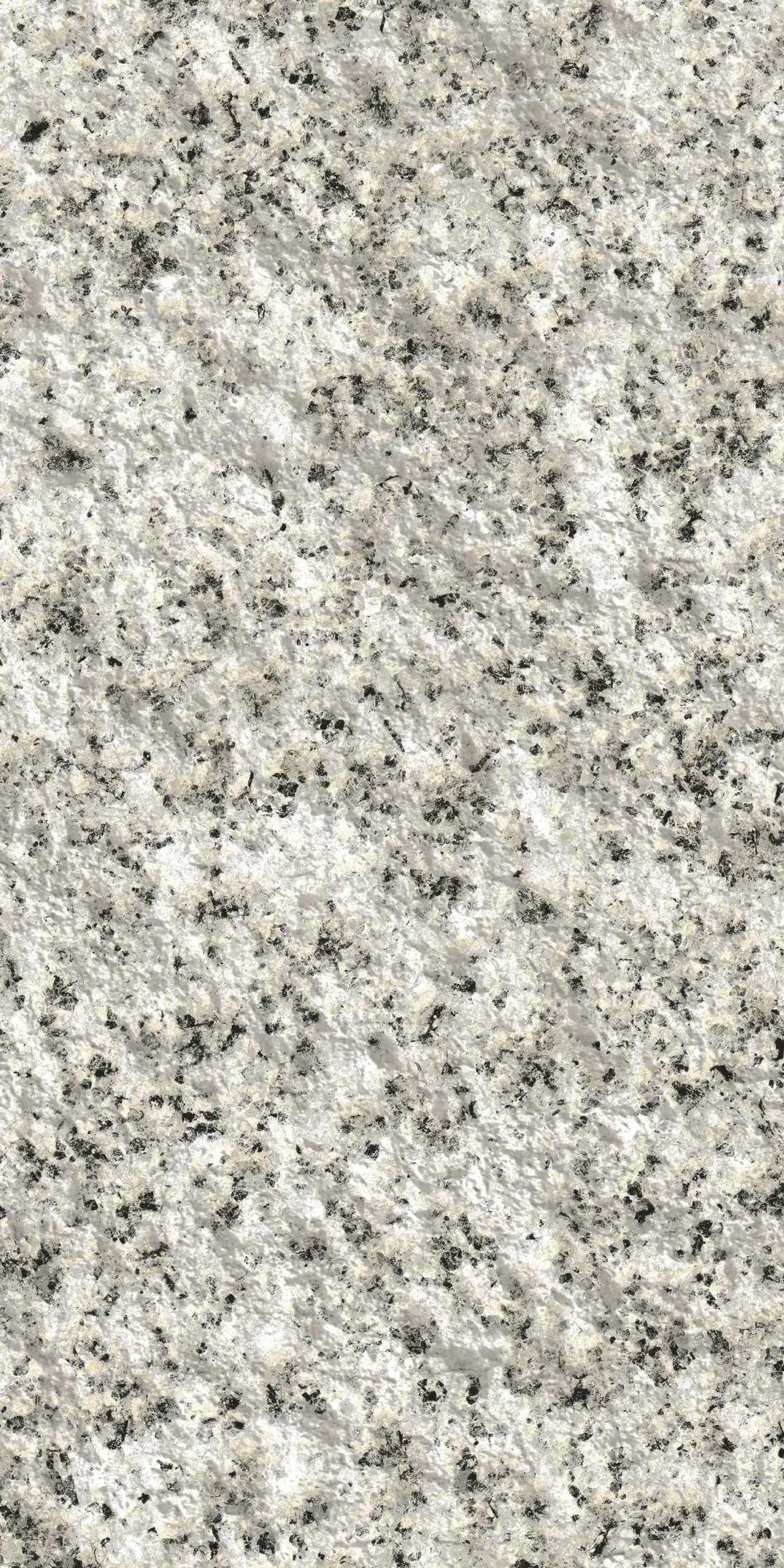 White Sesame