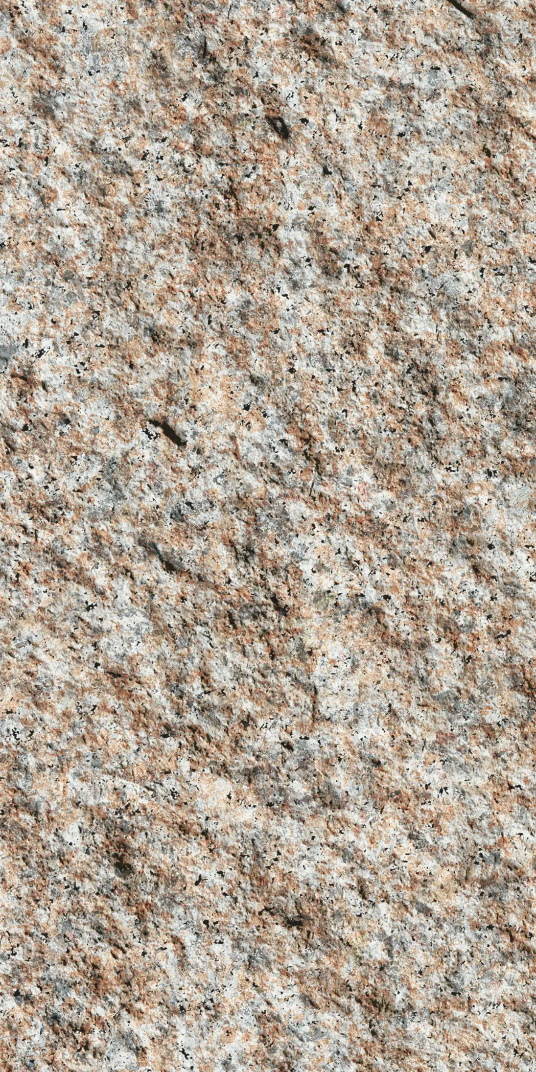 Gold Sesame