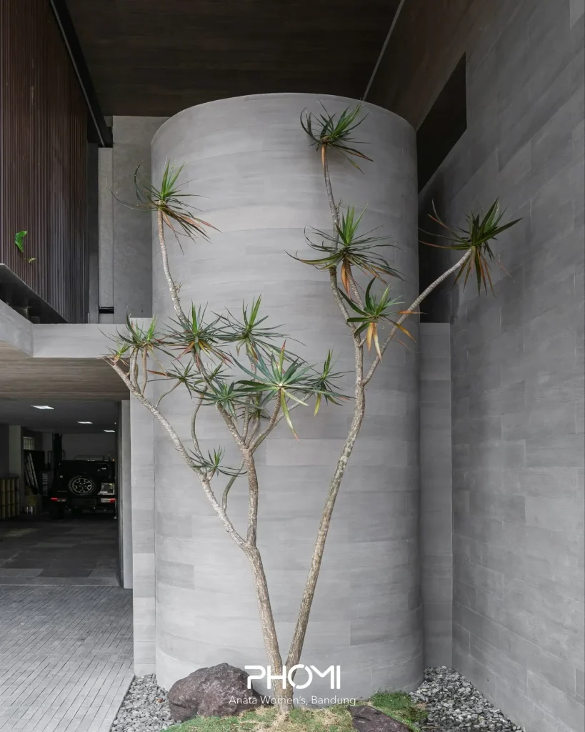 Anata Women’s, Bandung